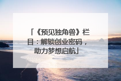 《预见独角兽》栏目：解锁创业密码，助力梦想启航