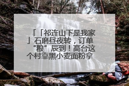 「祁连山下是我家」石磨昼夜转，订单“粮”辰到！高台这个村靠黑小麦面粉拿下成立来最大订单