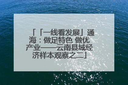 「一线看发展」通海：做足特色 做优产业——云南县域经济样本观察之二