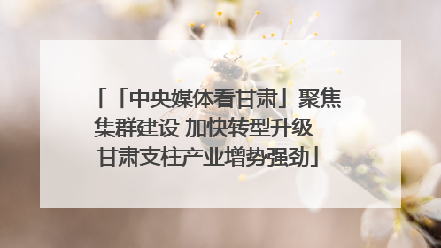 「中央媒体看甘肃」聚焦集群建设 加快转型升级 甘肃支柱产业增势强劲