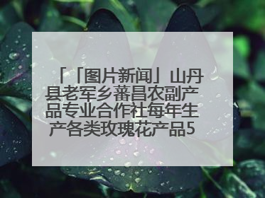 「图片新闻」山丹县老军乡蕃昌农副产品专业合作社每年生产各类玫瑰花产品500多吨