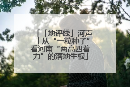 「地评线」河声丨从“一粒种子”看河南“两高四着力”的落地生根