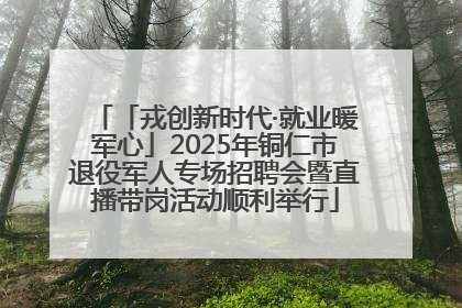 「戎创新时代·就业暖军心」2025年铜仁市退役军人专场招聘会暨直播带岗活动顺利举行