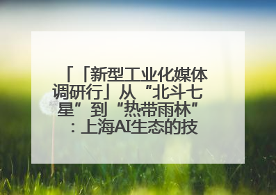 「新型工业化媒体调研行」从“北斗七星”到“热带雨林”：上海AI生态的技术商业共生密码