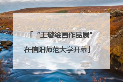 “王璇绘画作品展”在信阳师范大学开幕