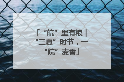 “皖”里有粮｜“三夏”时节，一“皖”麦香