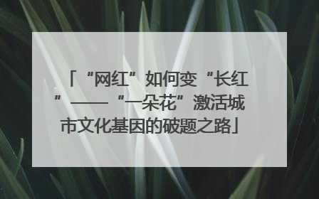 “网红”如何变“长红”——“一朵花”激活城市文化基因的破题之路