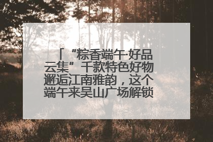 “粽香端午·好品云集”千款特色好物邂逅江南雅韵，这个端午来吴山广场解锁“浙里烟火气”