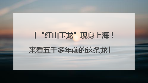 “红山玉龙”现身上海！来看五千多年前的这条龙
