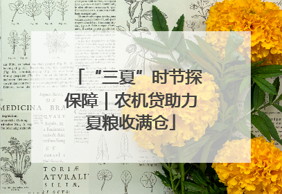 “三夏”时节探保障｜农机贷助力夏粮收满仓