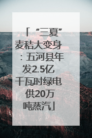 “三夏”麦秸大变身：五河县年发2.5亿千瓦时绿电 供20万吨蒸汽