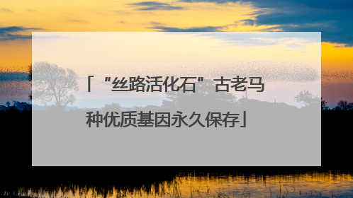 “丝路活化石”古老马种优质基因永久保存