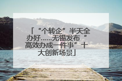 “个转企”半天全办好……无锡发布“高效办成一件事”十大创新场景