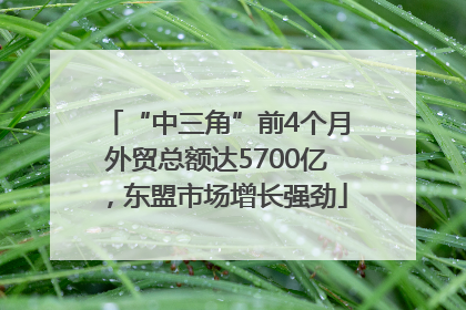 “中三角”前4个月外贸总额达5700亿，东盟市场增长强劲