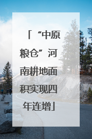 “中原粮仓”河南耕地面积实现四年连增