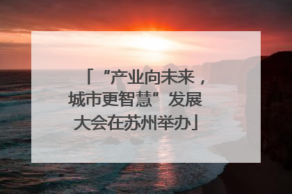 “产业向未来，城市更智慧”发展大会在苏州举办