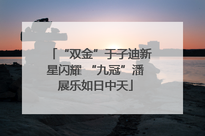 “双金”于子迪新星闪耀 “九冠”潘展乐如日中天