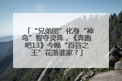 “兄弟团”化身“神鸟”智夺灵珠，《奔跑吧13》今晚“百谷之王”花落谁家？