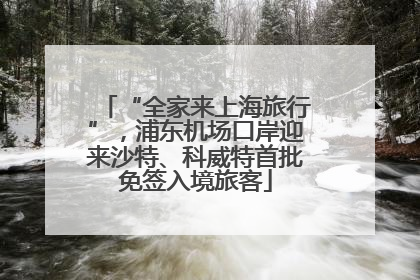 “全家来上海旅行”，浦东机场口岸迎来沙特、科威特首批免签入境旅客