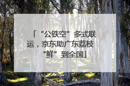 “公铁空”多式联运，京东助广东荔枝“鲜”到全国