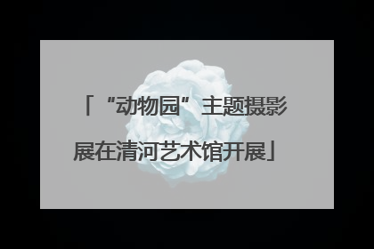 “动物园”主题摄影展在清河艺术馆开展