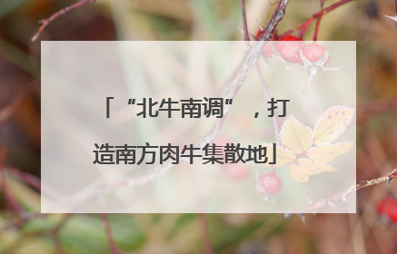 “北牛南调”，打造南方肉牛集散地