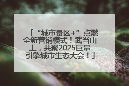 “城市景区+”点燃全新营销模式！武当山上，共聚2025巨量引擎城市生态大会！
