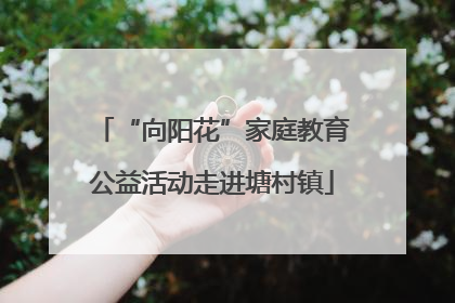 “向阳花”家庭教育公益活动走进塘村镇