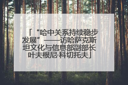 “哈中关系持续稳步发展”——访哈萨克斯坦文化与信息部副部长叶夫根尼·科切托夫