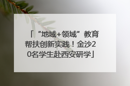 “地域+领域”教育帮扶创新实践！金沙20名学生赴西安研学