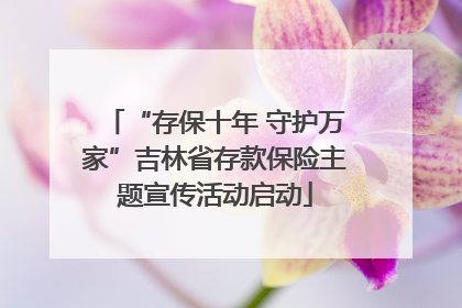 “存保十年 守护万家”吉林省存款保险主题宣传活动启动