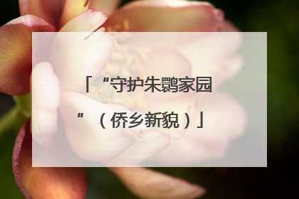 “守护朱鹮家园”（侨乡新貌）