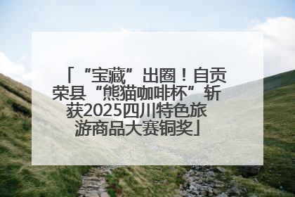 “宝藏”出圈！自贡荣县“熊猫咖啡杯”斩获2025四川特色旅游商品大赛铜奖
