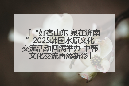 “好客山东 泉在济南”2025韩国水原文化交流活动圆满举办 中韩文化交流再添新彩