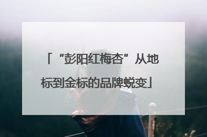 “彭阳红梅杏”从地标到金标的品牌蜕变