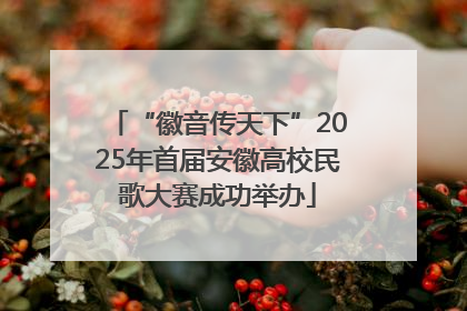 “徽音传天下”2025年首届安徽高校民歌大赛成功举办