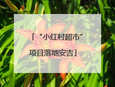 “小红村超市”项目落地安吉