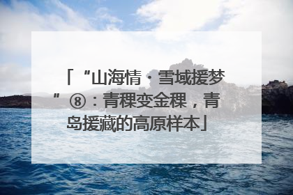 “山海情・雪域援梦”⑧：青稞变金稞，青岛援藏的高原样本