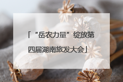 “岳农力量”绽放第四届湖南旅发大会