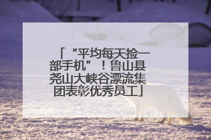 “平均每天捡一部手机”！鲁山县尧山大峡谷漂流集团表彰优秀员工