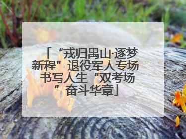 “戎归禺山·逐梦新程”退役军人专场 书写人生“双考场”奋斗华章