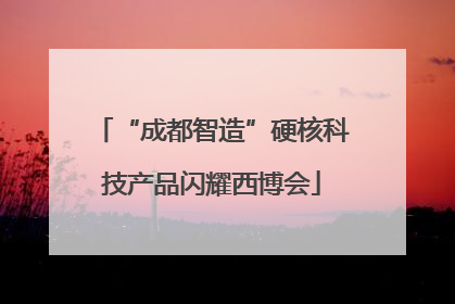 “成都智造”硬核科技产品闪耀西博会