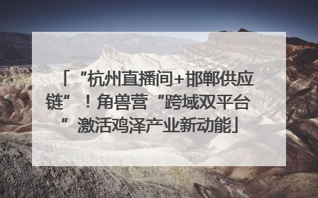 “杭州直播间+邯郸供应链”！角兽营“跨域双平台”激活鸡泽产业新动能