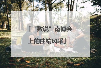 “数说”南博会上的曲靖风采
