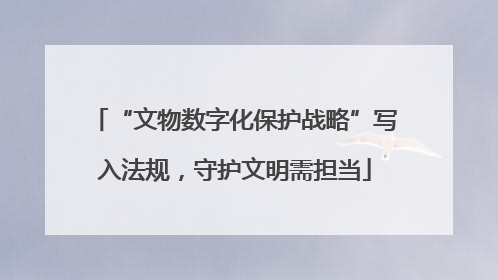 “文物数字化保护战略”写入法规，守护文明需担当