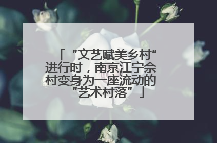 “文艺赋美乡村”进行时，南京江宁佘村变身为一座流动的“艺术村落”