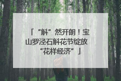 “斛”然开朗！宝山罗泾石斛花节绽放“花样经济”