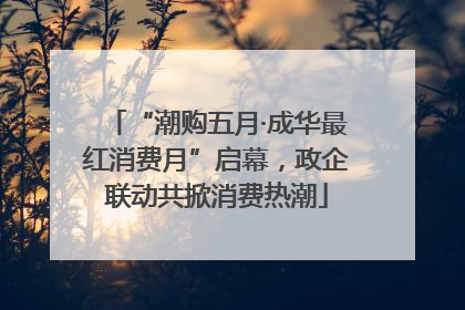 “潮购五月·成华最红消费月”启幕，政企联动共掀消费热潮