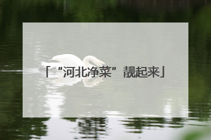 “河北净菜”靓起来