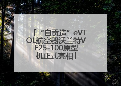 “自贡造”eVTOL航空器沃兰特VE25-100原型机正式亮相
